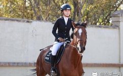 成品网站crm短视频